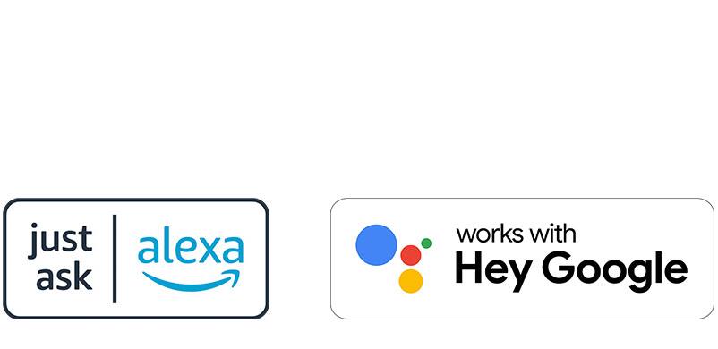 Logotipos de Alexa y Google en el Nissan LEAF 2023.